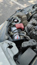駱駝(CAMEL)汽車電瓶蓄電池6-QW-36(2S) 12V 以舊換新 上門安裝 曬單實(shí)拍圖