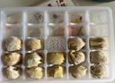 袁記味享x鮮京采 袁記云餃鮮蝦蟹籽三拼云吞拼盤(pán)24顆500g鮮肉早餐餛飩 曬單實(shí)拍圖