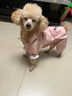 憨憨寵狗狗雨衣狗衣服小型犬全包四腳反光戶(hù)外防風(fēng)保暖沖鋒衣服防水雨披 粉色 XL號建議體重8-10斤 曬單實(shí)拍圖