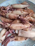 漁游記全籽筆管魚(yú)1000g 保護(hù)冰0.1kg魷魚(yú)海兔子籽烏滿籽帶籽軟足類(lèi) 曬單實(shí)拍圖