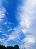 美廚（maxcook）廚房瀝水架水槽架 吸盤垃圾過濾網(wǎng)水池過濾架 配50個(gè)網(wǎng)MCZW0597 曬單實(shí)拍圖
