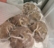 潮興記汕頭牛肉丸250g 牛肉含量95%不含豬肉正宗潮汕手打火鍋食材 曬單實(shí)拍圖