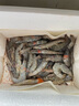 鮮享純【青島蝦】超大蝦新鮮大蝦冷凍鮮活青島大蝦批發(fā)整箱基圍蝦青蝦 15-17厘米鮮蝦速凍 3斤(凈重) 曬單實(shí)拍圖