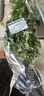 帶根香菜100g 曬單實(shí)拍圖