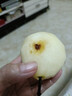 康田匯 陜西紅香酥梨 當(dāng)季新鮮梨子水果現(xiàn)貨新鮮時令應(yīng)季水果整箱 5斤【手挑精選果】凈重4.5斤 曬單實拍圖