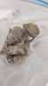 賣(mài)魚(yú)七郎 三去鮮凍八爪魚(yú)凈重1.7斤去牙去眼去內臟小章魚(yú)冷凍海鮮火鍋食材 曬單實(shí)拍圖