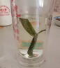 特級(jí)品質(zhì)甜葉菊茶甜菊葉鐵盒裝代糖養(yǎng)生花草茶沖泡水喝女士茶葉 甜葉菊25g（鐵盒裝） 甜葉菊 曬單實(shí)拍圖