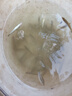 正宗鱸魚(yú)苗批發(fā)魚(yú)苗活體淡水養殖加州鱸魚(yú)苗10公分特大號兇猛大口黑鱸淡水魚(yú)苗 鱸魚(yú)苗6-8cm 30條（送10%左右） 曬單實(shí)拍圖