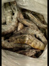 鯨口大開(kāi)【青島蝦】超大蝦新鮮大蝦冷凍鮮活青島大蝦批發(fā)整箱基圍蝦青蝦 15-17厘米鮮蝦速凍 3斤(凈重) 曬單實(shí)拍圖