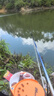 漢鼎一號(hào)6代魚(yú)竿超輕手竿5.4米臺(tái)釣竿鯽魚(yú)竿碳纖維手桿 綜合5.4米 曬單實(shí)拍圖