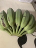 正宗廣西蘋(píng)果蕉大果香蕉5斤當(dāng)季新鮮米蕉蘋(píng)果粉蕉自然熟大芭蕉 3斤 曬單實(shí)拍圖