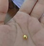 縱橫金業(yè)足金999   黃金轉(zhuǎn)運(yùn)珠 金珠子  1克 單顆 頂珠 散珠 手串diy 1克  轉(zhuǎn)運(yùn)珠 曬單實(shí)拍圖