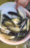 專(zhuān)治魚(yú)病藥水霉病爛身爛尾萬(wàn)能疾病治療魚(yú)塘魚(yú)池消炎殺菌消毒魚(yú)藥 1瓶【魚(yú)塘萬(wàn)能藥】可用5畝 曬單實(shí)拍圖