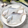 富海錦 渤海銀鯧魚 450g 3條 平魚 火鍋燒烤食材 烤魚海鮮水產(chǎn)魚類 曬單實拍圖