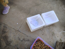 蘇泊爾（SUPOR）砂鍋陶瓷煲中藥煎藥煲仔飯煲湯鍋耐高溫干燒不裂燃氣灶燉鍋6.0L 曬單實(shí)拍圖