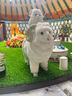 babycareair pro拉拉褲XXXXL碼24片（大于19kg) 嬰兒尿不濕夏日超薄透氣 曬單實(shí)拍圖