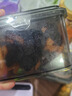 憨豆熊陳皮楊梅260g/罐 蜜餞話(huà)梅干酸甜果脯小吃辦公室健康團購零食 曬單實(shí)拍圖