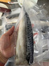 美加佳挪威青花魚(yú)片凈重2斤（8-10片）鯖魚(yú)片 獨立包裝 去頭去尾去臟 曬單實(shí)拍圖