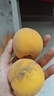 三萌果蔬正宗蒙陰黃桃 山東當(dāng)季新鮮黃毛桃現(xiàn)摘桃子水果送禮 10斤老樹(shù)果【家庭分享】?jī)糁?斤 曬單實(shí)拍圖