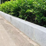 花崗巖路沿石 芝麻灰路緣石 市政工程側(cè)平石 芝麻白五蓮花路邊石 灰色 可定制 曬單實(shí)拍圖