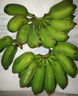 京喜自營(yíng) 廣西網(wǎng)紅小米蕉 青香蕉發(fā)貨放熟吃 新鮮水果一件包郵 青蕉發(fā)貨 凈重5斤 曬單實(shí)拍圖