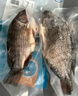 翔泰海南三去羅非魚(yú)/海南鯛1400g/共4條免處理 生鮮魚(yú)類(lèi) 海鮮水產(chǎn)  曬單實(shí)拍圖