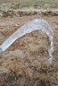 山頭林村自吸鋁頭柴油機(jī)抽水泵皮帶輪農(nóng)用高揚(yáng)程大流量離心泵灌溉水泵 3寸  拖泵頭 配4KW/6匹馬力以上 曬單實(shí)拍圖