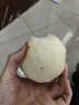 東鮮豐山東秋月梨 豐水梨新鮮水果脆甜冰糖梨子 當(dāng)季水果中秋禮盒送禮 【秋月梨】5斤普通裝凈重4.5斤 源頭直采 曬單實拍圖