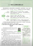 2026新萬唯中考語文初中現(xiàn)代文閱讀理解三階專項(xiàng)訓(xùn)練初中現(xiàn)代文閱讀課外文言文閱讀七八九年級(jí)萬維中考語文現(xiàn)代文閱讀專項(xiàng)練習(xí)閱讀訓(xùn)練 中考 現(xiàn)代文閱讀+課外文言文閱讀2本【2026】 曬單實(shí)拍圖