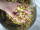 廣西七彩椒新鮮辣椒5斤特產(chǎn)五彩燈籠泡椒小米辣剁椒蔬菜整箱3 250g 曬單實拍圖