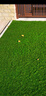 COOLGRASS仿真草坪假草坪人造草坪戶(hù)外庭院陽(yáng)臺屋頂別墅庭院戶(hù)外地毯草皮 4cm旗艦款（3米寬）拍幾件發(fā)幾米 曬單實(shí)拍圖