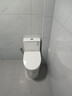 九牧（JOMOO）11396-2-1/31KB-1抗菌一級水效坐便器暴風(fēng)虹吸式節水馬桶305坑距 曬單實(shí)拍圖