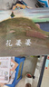 花婆婆  全店TOP10繪本名校推薦 美國國家圖書(shū)獎作品，傳記繪本 入選學(xué)校推薦閱讀書(shū)單 3-6-9歲（啟發(fā)出品）六一兒童節禮物女孩男孩暑假作業(yè) 一升二暑假銜接 小升初暑假銜接 曬單實(shí)拍圖