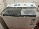 海爾（Haier）雙缸洗衣機(jī)10公斤家用半自動大容量雙電機(jī)強(qiáng)力去污雙桶甩干脫水機(jī)方便移動腳輪以舊換新 雙桶10公斤+水電分離+寬電壓+強(qiáng)力去污 曬單實拍圖