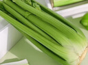 京鮮生山東新鮮大西芹凈重4.5斤榨汁現挖芹菜鮮嫩蔬菜 去半葉源頭直發(fā) 曬單實(shí)拍圖