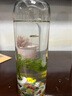 微景觀生態(tài)瓶生態(tài)瓶觀賞小魚diy微景觀免換水造景材料活動禮物水 科學簡約款 曬單實拍圖