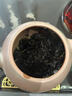 茶;中茶中糧六堡茶梧州廣西特級(jí)中茶參香六堡茶典型參香高端品鑒精品80克 參香高端品鑒精品80克 曬單實(shí)拍圖