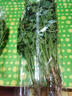帶根香菜100g 曬單實(shí)拍圖