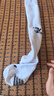 卡爾美（KELME）長筒足球襪防滑紗厚底高筒專業(yè)足球比賽訓(xùn)練精英運動襪 白色 M 曬單實拍圖