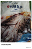 仙泉湖花鰱魚(yú)頭 600g/個(gè)冷凍雙邊大胖頭鳙魚(yú) 海鮮水產(chǎn)中秋食材 曬單實(shí)拍圖