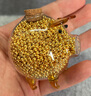 沃爾金黃金轉(zhuǎn)運(yùn)珠小金珠足金999重版加厚散珠黃金光面金珠古法珠手串DIY 0.8g,4mm古法重版4顆 曬單實(shí)拍圖