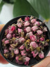仙農(nóng)山干桃花茶100g新貨干桃花瓣花朵無硫中藥材食用桃花泡茶包泡水 桃花100克 曬單實(shí)拍圖