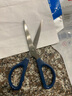 得力(deli)160mm辦公生活家用剪刀 小剪子手工剪紙刀 辦公用品 藍(lán)色0602 曬單實(shí)拍圖