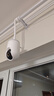 畢亞茲 攝像頭電源延長(cháng)線(xiàn)type-c充電線(xiàn) 5米 適用小米攝像頭2云臺版標準版2K室外螢石CB3智能屏SD1數據線(xiàn) 曬單實(shí)拍圖