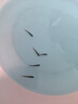 紅綠燈魚(yú)小型熱帶燈科魚(yú)活體草缸群游魚(yú)觀(guān)賞魚(yú)寶蓮燈斑馬魚(yú)孔雀魚(yú) 1.6cm左右紅綠燈5條 曬單實(shí)拍圖