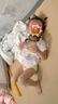 尼多熊【5A抗菌】女童內褲兒童三角短褲棉質(zhì)寶寶中小童幼兒內褲 曬單實(shí)拍圖