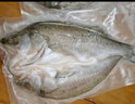 鮮城故事【冰鮮】白蕉海鱸魚(yú)2條/共2斤凈重 珠海地標 活魚(yú)現捕源頭直發(fā) 曬單實(shí)拍圖