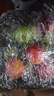 京鮮生 紅心珍珠芭樂(lè) 番石榴 凈重3斤 單果150g+ 生鮮水果水果禮盒 曬單實(shí)拍圖