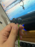雷蛇（Razer）戰(zhàn)錘狂鯊V3有線入耳式游戲耳機(jī)耳塞 自帶Type-C DAC適配器 7.1環(huán)繞聲 吃雞神器 適配三角洲行動(dòng) 戰(zhàn)錘狂鯊V3（贈(zèng)THX軟件 可調(diào)EQ） 曬單實(shí)拍圖