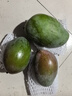 三亞芒果  海南芒果新鮮水果生鮮整箱當(dāng)季大青皮芒 熱帶孕婦芒果 5斤裝(凈果4.5斤)單果201克+ 曬單實(shí)拍圖
